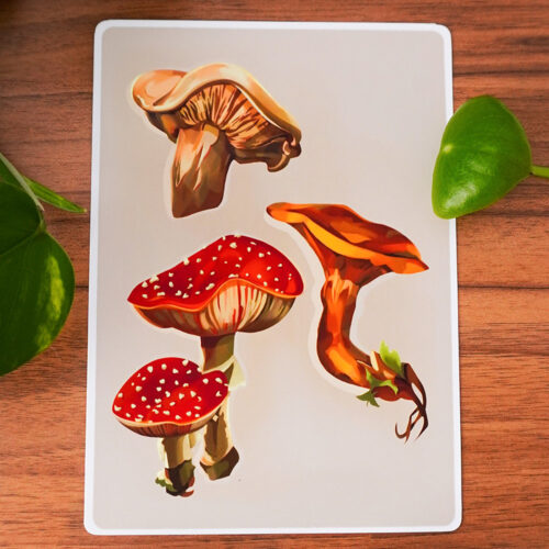 Mushrooms Print