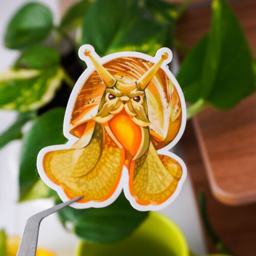 Wise Snail Sticker